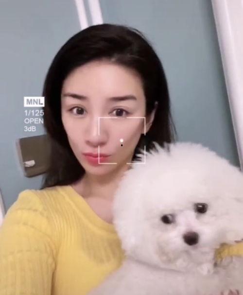 成人锁骨视频大全集,成人锁骨视频大全集精华解析