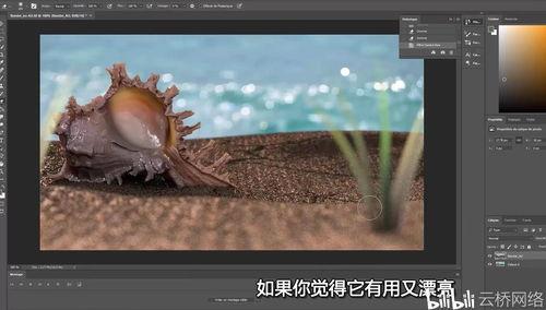 凤凰成人教程视频制作,深度解析与实战技巧