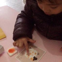 趣味成人胖子视频,欢乐时光，尽享生活乐趣