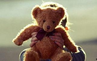 泰迪变成人憨豆视频,萌宠奇遇记