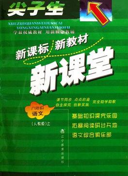 成人教育视频动画制作,创新学习体验之旅