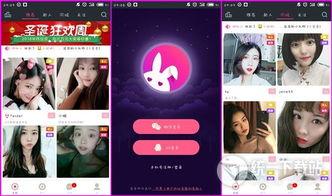 成人白兔视频在线观看