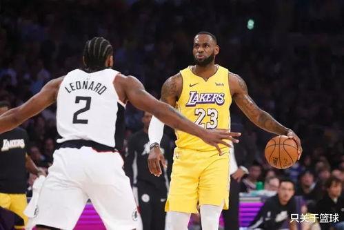 在家安装成人篮筐视频,打造私人篮球乐园教程