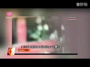 成人品视频,一场视觉与情感的深度对话