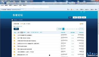 成人论坛在线视频